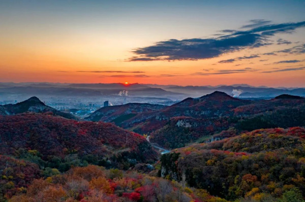 好客山东乡村游网 第一波红叶已上线 来鲁商 红叶柿岩旅游区就能看